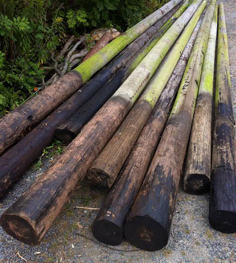 Big poles. Креозот столб. Wooden Pole. Defects of Wooden Poles. Telegraph Poles of 80's.