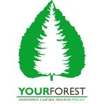 YourForest